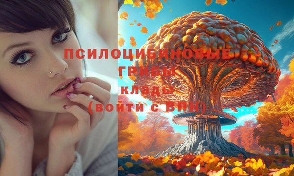 винт Алзамай