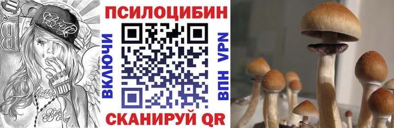 Галлюциногенные грибы GOLDEN TEACHER  мега вход  Хабаровск  что такое наркотик 